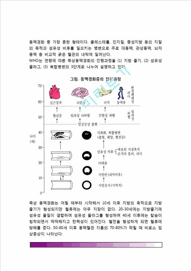 [동맥경화증] 동맥경화의 원인(요인)과 분류(종류-아테롬경화,중막경화,세동맥경화), 동맥경화의 증상 및 합병증, 동맥경화증 치료의 식사요법(식이요법).hwp